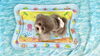 リリーちゃん「波とわんこ🌊」