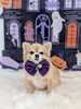 ルナちゃん「Happy Halloween 2026🎃」