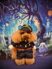 「ハロウィンフォトコンテスト🎃byましゅまろ幼稚園🐾」