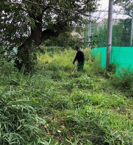 「除草作業もお任せください！」