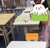 「【公文式西葛西グリーン教室】幼児さんの学習風景」