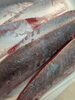 「草津店入荷情報！  鯵のような鰤【ツムブリ】🐟️」