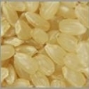 低農薬　有機栽培　コシヒカリ　玄米　5ｋｇ