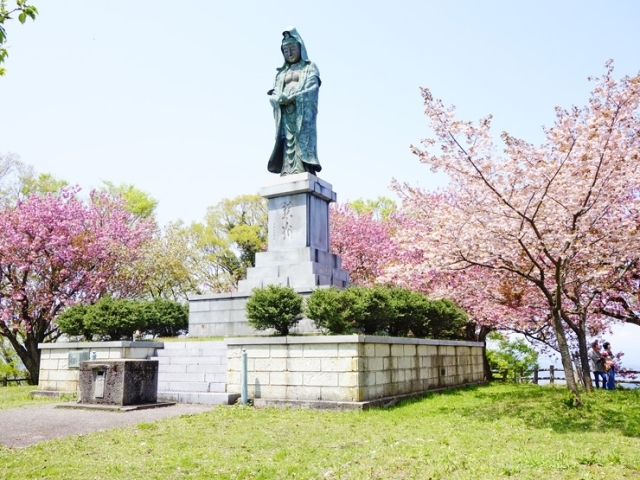 二上山公園 城山園地 高岡 桜 お花見特集 高岡 桜 お花見特集 まいぷれ 高岡市 二上山公園 城山園地 高岡 桜 お花見特集 高岡 桜 お花見特集 まいぷれ 高岡市