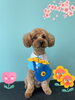 「Dog salon mofu mofu 余市町」