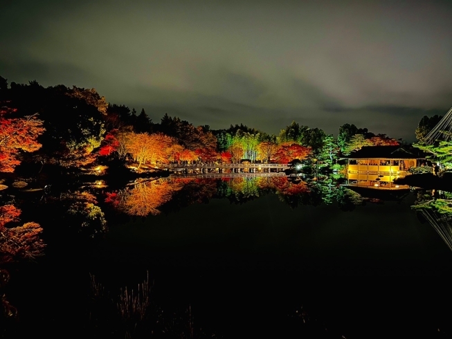 美しい水鏡「秋の夜散歩」