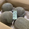 「今年も始まりました😍 熊本県産「肥後グリーンメロン」です🍈」