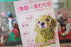 「ワンちゃんのハーブパック」