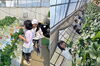 いちごが美味しかった「🍓 いちご狩り遠足 🍓　★英会話と体操のコラボ教室（堀切、お花茶屋、綾瀬、亀有、小菅）」