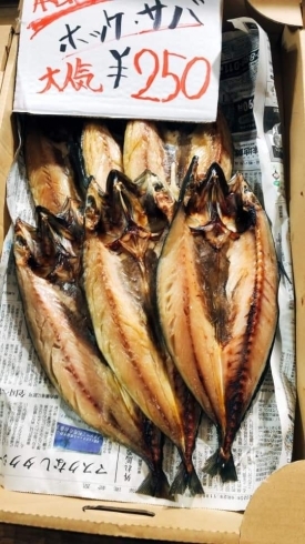 「★本日のさいわいまるしぇ★特売品あり♪さいとう鮮魚」