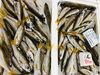 「魚魚市場鮮魚コーナーおすすめは「北海道産ホタテ・特価！クロムツ」です♪」