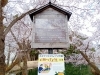 「お花見シーズン到来！南魚沼市小栗山のお松の池に行ってみました」
