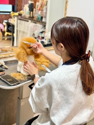 トリミングサロンLucu・トリマー中村「伊勢山芽生さんのトリミングセミナーに行ってきました」