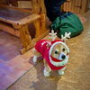 hug「Good morning Otaru」