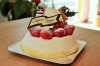 いちごの森デコレーション「締切は20日までです！2021クリスマスケーキ」