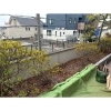 枯れ木の抜根をして、植える前の下準備です「神戸市東灘区で木を植えました！」