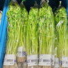 「一足早く春の味覚が入荷しました！農産物直売所」