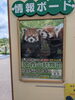 この2頭のレッサーパンダに会うために来たのに…「秋田の大森山動物園」