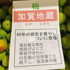 「江刺梅林さんの「梅」始まりました♪ 岩手県奥州市江刺地区　江刺梅林(岩苑)の梅」