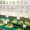 「久しぶり『高原とうもろこし』特設会場！道の駅木曽福島」