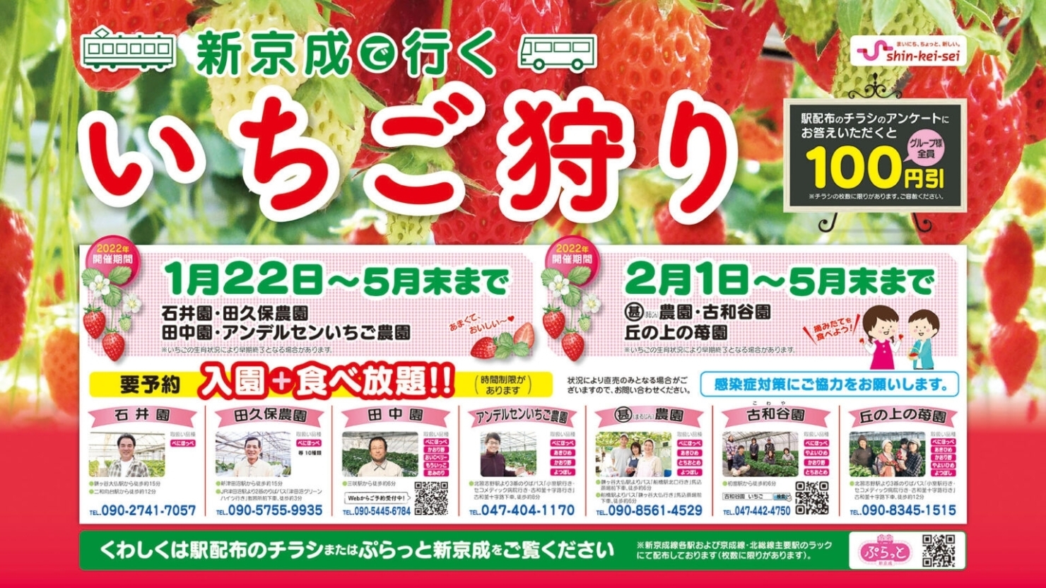 いちご狩りの季節がやってきました 新京成線でいちご狩りに出かけましょう 船橋トピックス 身近にあるニュースを日々お届け まいぷれ 船橋市 いちご狩りの季節がやってきました 新京成線でいちご狩りに出かけましょう 船橋トピックス 身近にあるニュースを日々お届け まいぷれ 船橋市