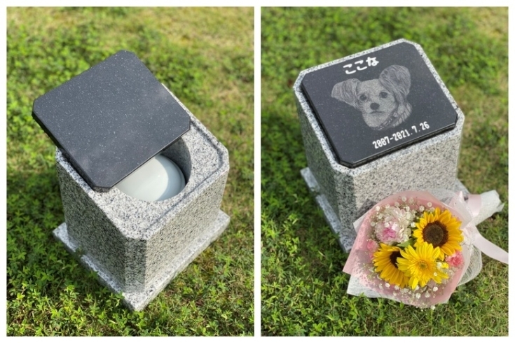 ペットのお墓 死から納骨まで 3 竹原石材のニュース まいぷれ 新居浜市 ペットのお墓 死から納骨まで 3 竹原石材のニュース まいぷれ 新居浜市