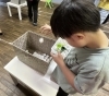 「お仕事練習　～ペットボトルキャップの仕分け～」