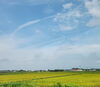 久しぶりの青空「台風通過&久しぶり晴れ空の下での作業👍️」