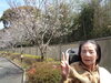 「青空の下でお花見～🌸🌸🌸」