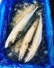 真鯖→大人気の鯖サンドにします。「12月1日船橋市場での魚介&フルーツの仕入れです。」
