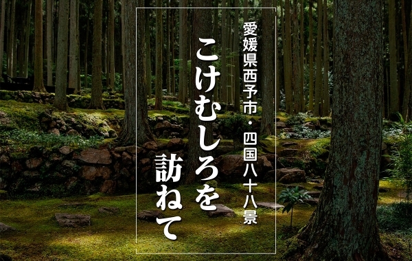 【愛媛県西予市】こけむしろを訪ねて