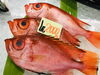 「魚魚市場鮮魚コーナーおすすめは「ノドグロ・本ガツオ」です♪」