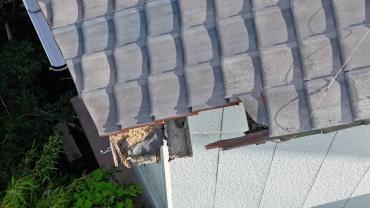 ドローンで調査した屋根瓦の破損「さくらのおうちドック！！」