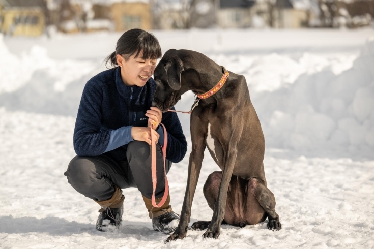 「吠えている犬を抱っこするのはNG！　犬のカーミングシグナルを注意深く見てね！」