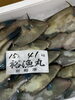 「おはよう御座います」