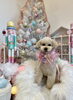 愛ちゃん「MerryXmas🎄」