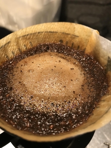 新鮮な豆は、よく膨らみます。「市川駅南口すぐ【グリーン珈琲焙煎所 】ブラジルで一番美味しいコーヒー入荷しました。是非お試しください。」