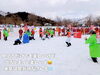 「魚沼の冬の風物詩、魚沼国際雪合戦大会！見て食べて楽しんで、満喫してきました！」