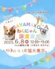 「✿2025/6/8㈪ 譲渡会(所沢市)保護猫参加情報！㉓小型犬」