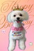 「Dog salon mofu mofu　余市町」