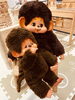 モンチッチ&大助「レアな大助🐒[341/365]」