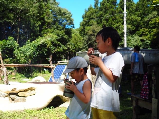 「新潟県内初のサブスクリプション型キャンプ場が近日オープン！！」