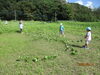 ツルが長かったよ「🍄園周辺散歩🍂＆📛第２保育園との交流📛」