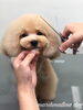 「冬のオプションキャンペーン　^o^」