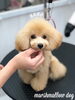 ん？　目覚めた？　(笑)「スタイルチェンジ　^ - ^」