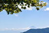 山野草公園から望む富士山「入笠山で、心整う自然体験を。」