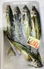 「魚魚市場鮮魚コーナーおすすめは「ヤリイカ・イサキ」です♪」