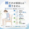 骨盤が後ろに倒れると、背中が丸くなり、股関節が使いにくくなることがあります「【草津市・南草津】座ると腰が痛い方へ｜腰だけが原因とは限りません」