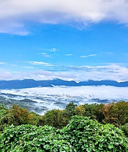 é‚‘å—町 ã„ã“ã„ã®æ‘ã—ã¾ã ã«ã¦é›²æµ·ã‚’望む「🌸 『ヴィンテージ・ツィード スーツã€ãŠã™ã™ã‚ã§ã™ï¼ï¼ã€