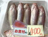 「魚魚市場鮮魚コーナーおすすめは『レンコ鯛』です♪」